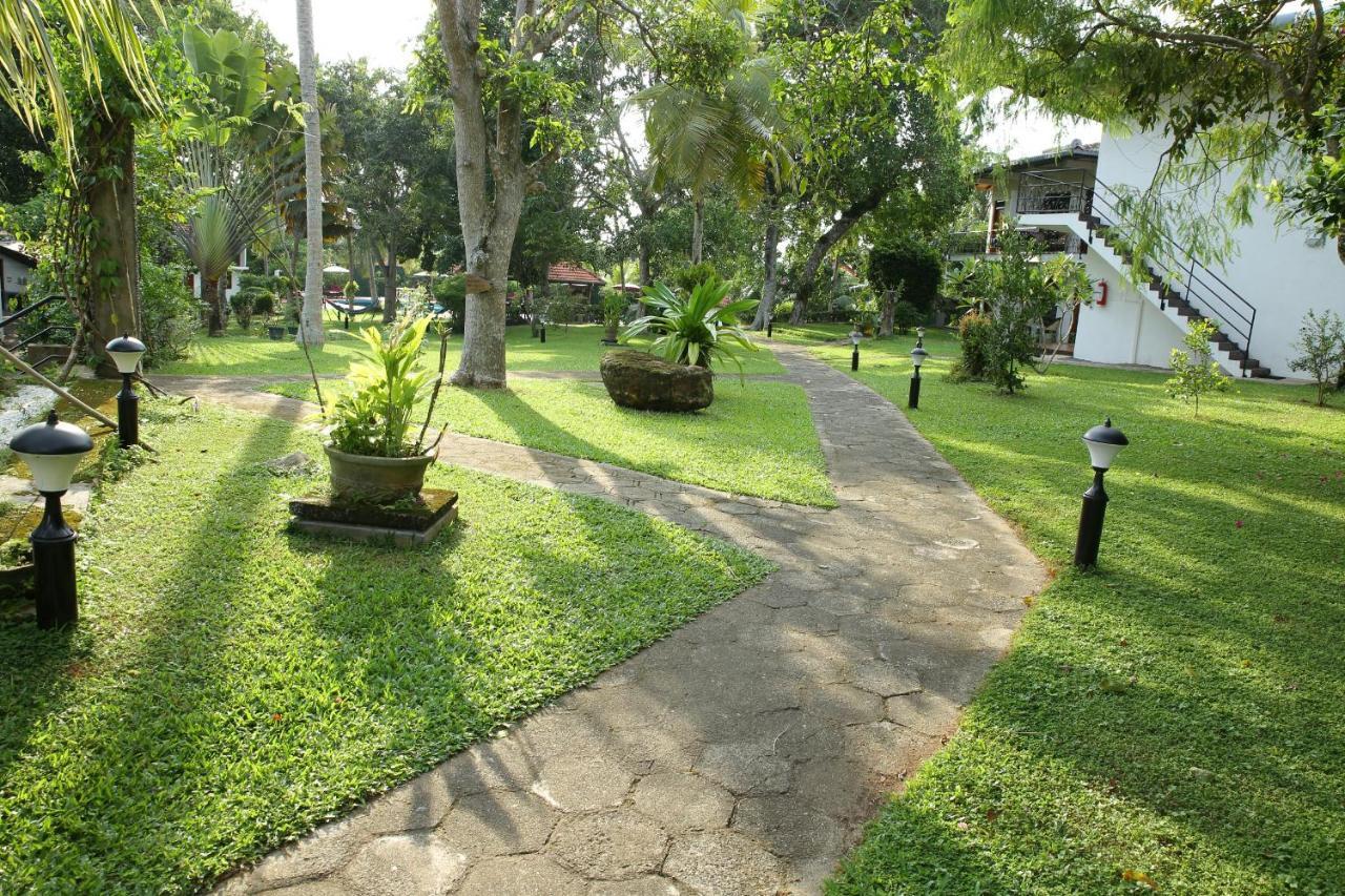 Ayurveda Centrum Lawrence Hill Paradise Hikkaduwa Kültér fotó